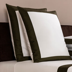 slide 2 Bold Euro Pillowcase