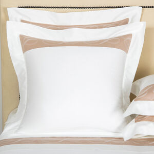 slide 1 Ribbons Border Euro Sham