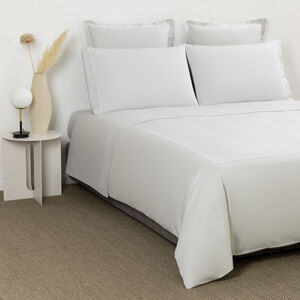 slide 4 Camelia Euro Sham