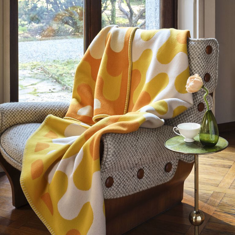 slide 5 Modernism Throw