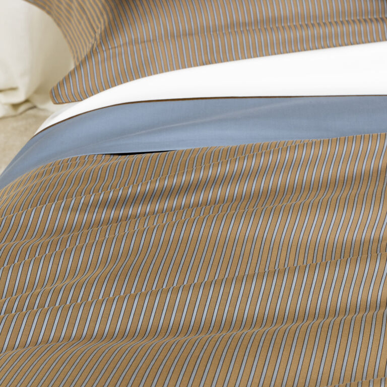 slide 5 Horizon Sham