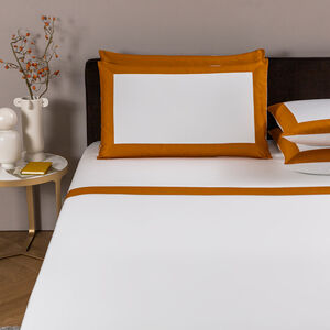 slide 2 Bold Sheet Set