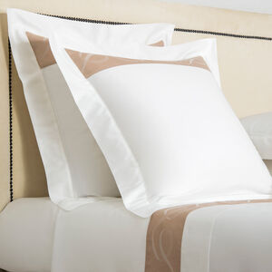 slide 2 Ribbons Border Euro Sham