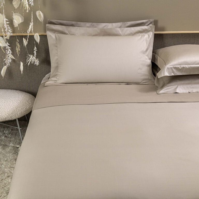 slide 2 Naturalismo Sheet Set