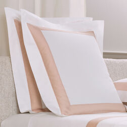 Sateen Breeze Border Euro Sham