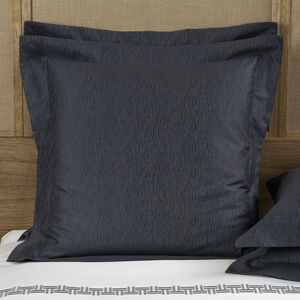 Rays Euro Sham slide 1 Rays Euro Sham