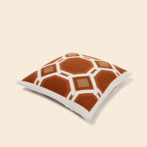 slide 4 Deco Cushion 005